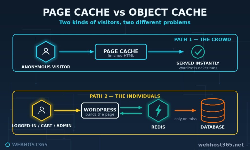 Diagram of two visitor paths: anonymous visitors served by the page cache, logged-in visitors served faster through Redis object caching