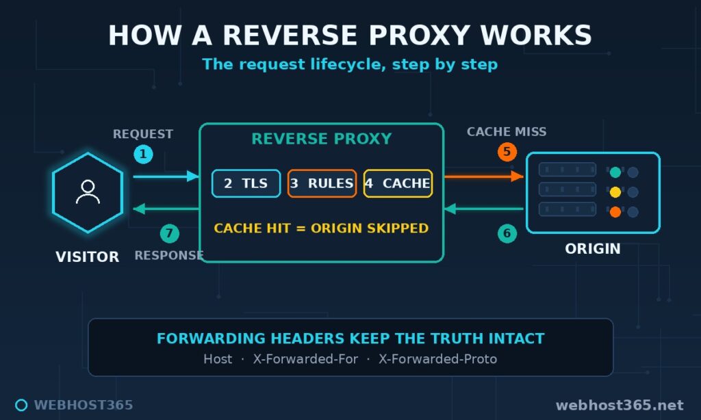 Request lifecycle through a reverse proxy: TLS, rules, cache check, origin fetch on cache miss, and response