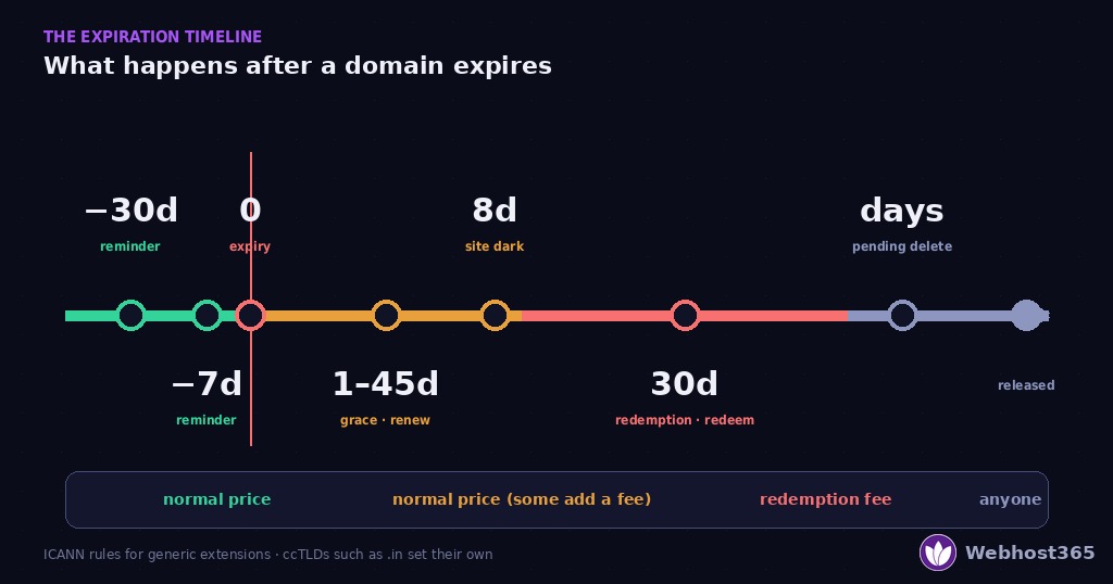 Timeline of what happens after a domain expires under ICANN rules — reminders at 30 and 7 days before, expiry day, a 1–45 day grace period at the normal price, up to 8 days with the site dark, a 30-day redemption period at a redemption fee, then pending delete and release.