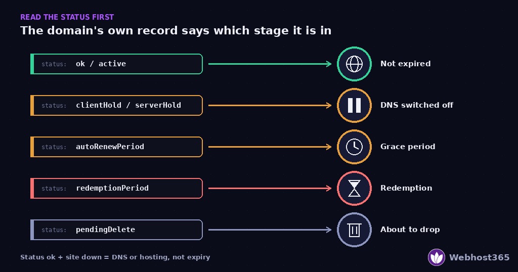 WHOIS status decoder for an expired domain — ok means not expired, clientHold or serverHold means DNS switched off, autoRenewPeriod means grace period, redemptionPeriod means redemption, pendingDelete means about to drop.