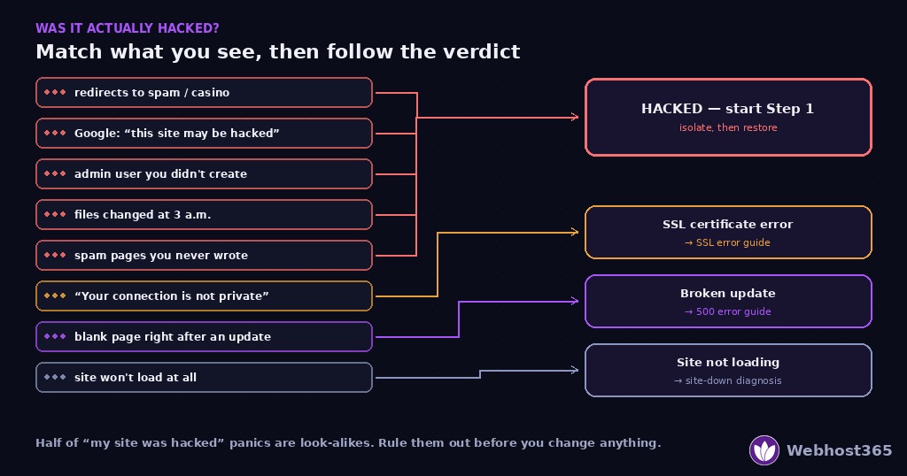 Symptom decoder for a suspected WordPress hack — redirects to spam, a Google hacked label, unknown admin users, files changed overnight, and spam pages route to a hacked verdict, while a certificate warning, a blank page after an update, and a site that won't load route to their own guides.